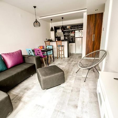 Chill Out Apartment Novi Sad Exteriör bild